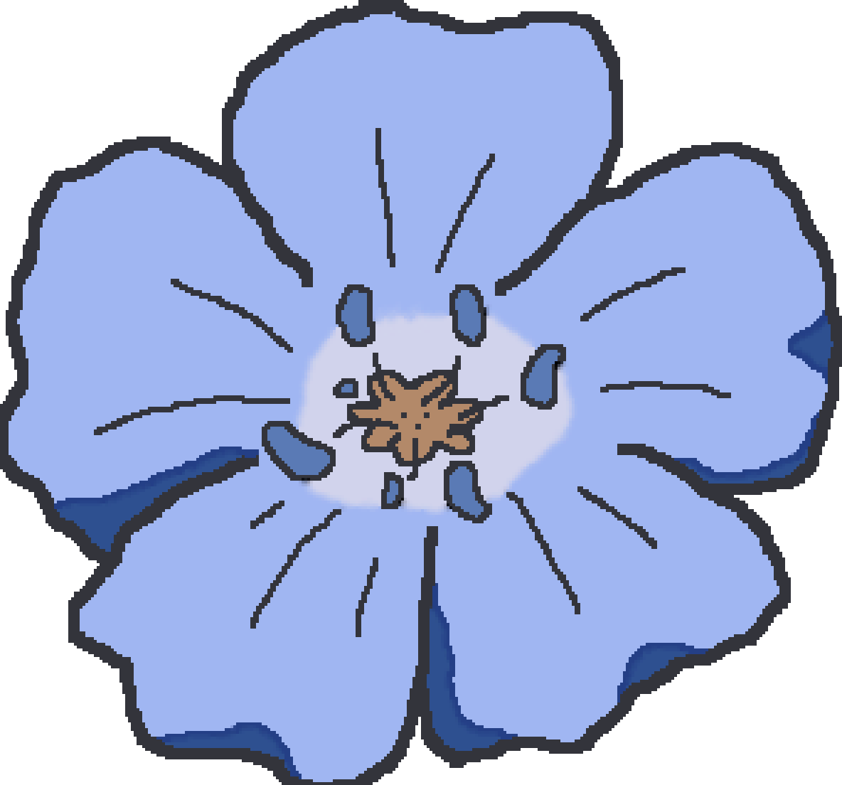 himmelflower