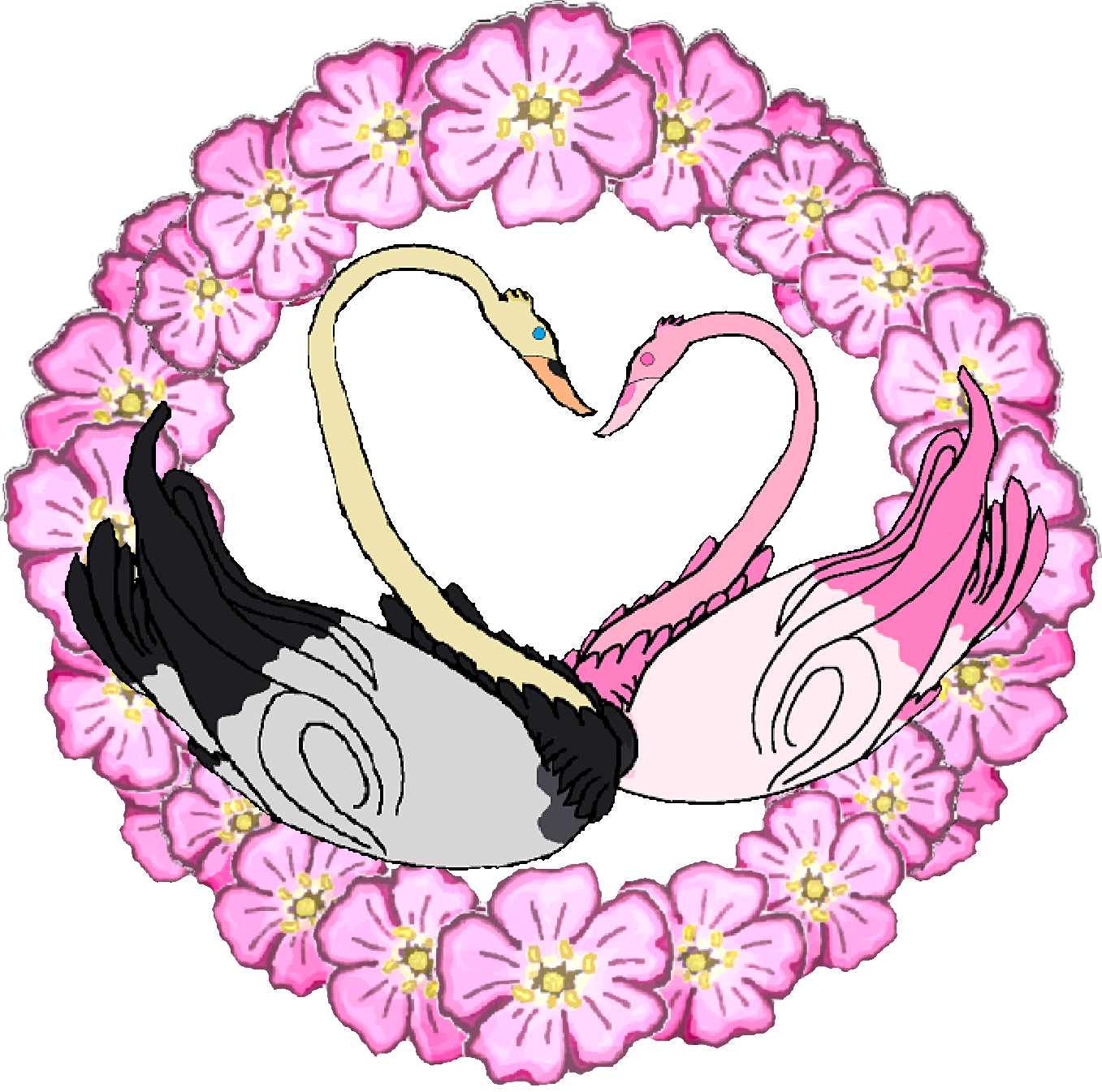 swans